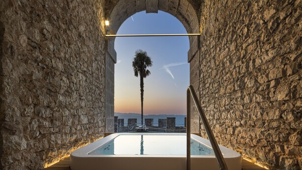 A stone-walled infinity pool with a view of the sea and a palm tree.