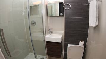 A modern bathroom with a glass shower enclosure, a white sink, and a toilet.