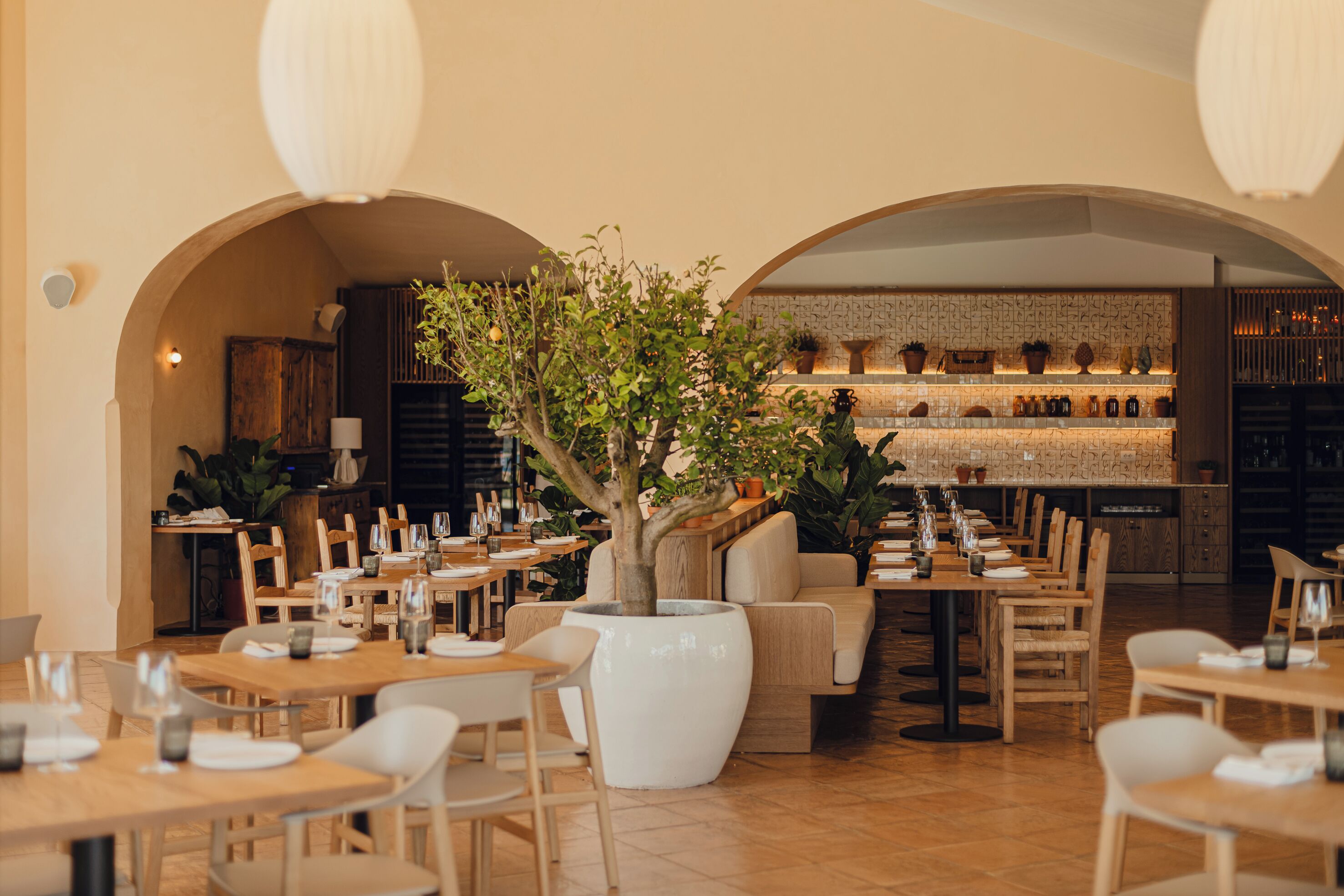 Un restaurante con mesas y sillas de madera, un macetero central con un árbol y una zona de bar al fondo.