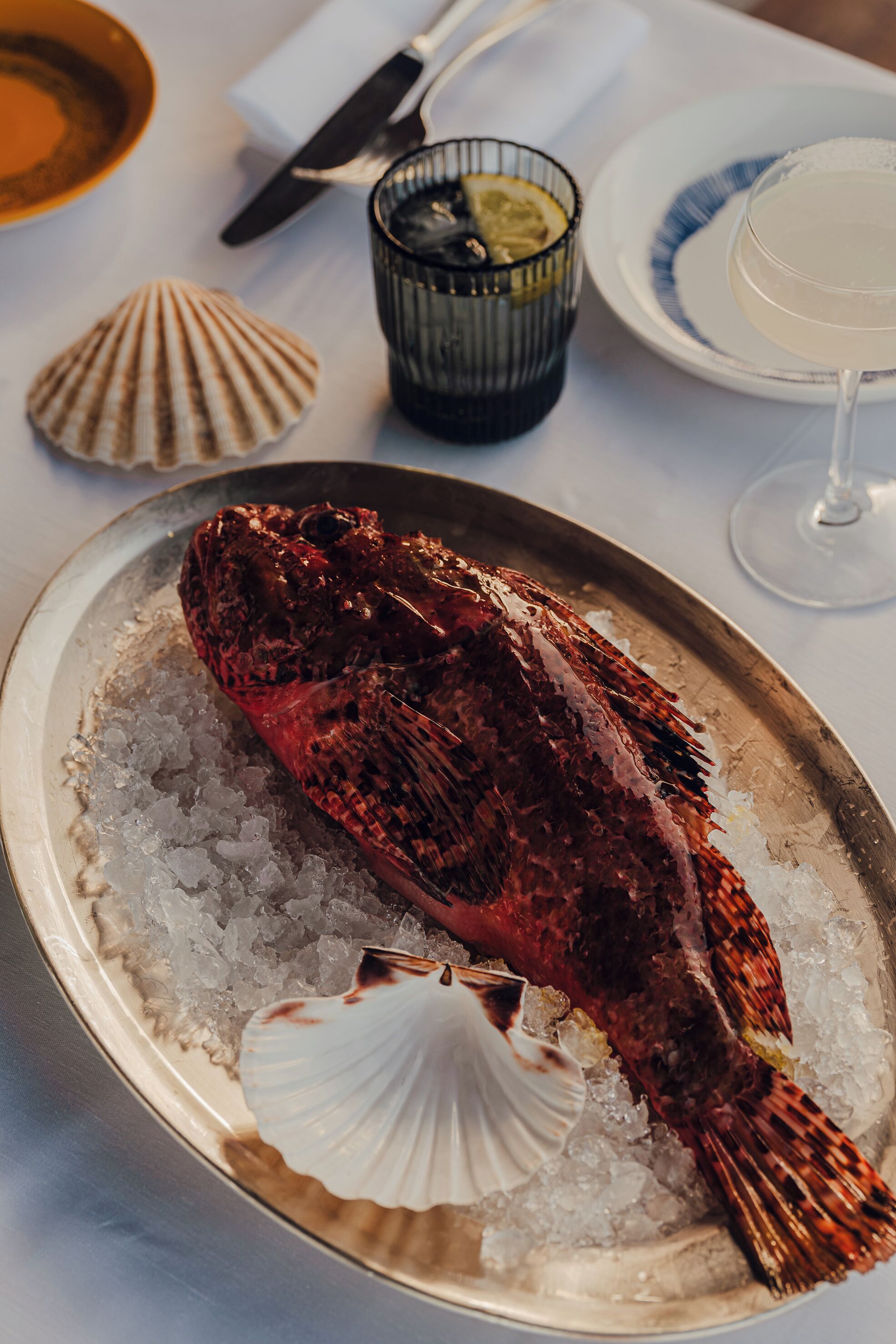 A fish on ice with a shell, a glass of drink, and a plate with a blue rim.