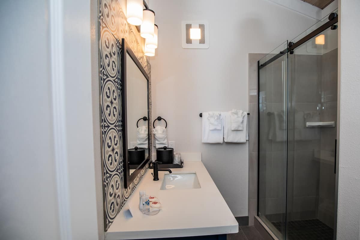 hair dryer, towels, soap, shampoo