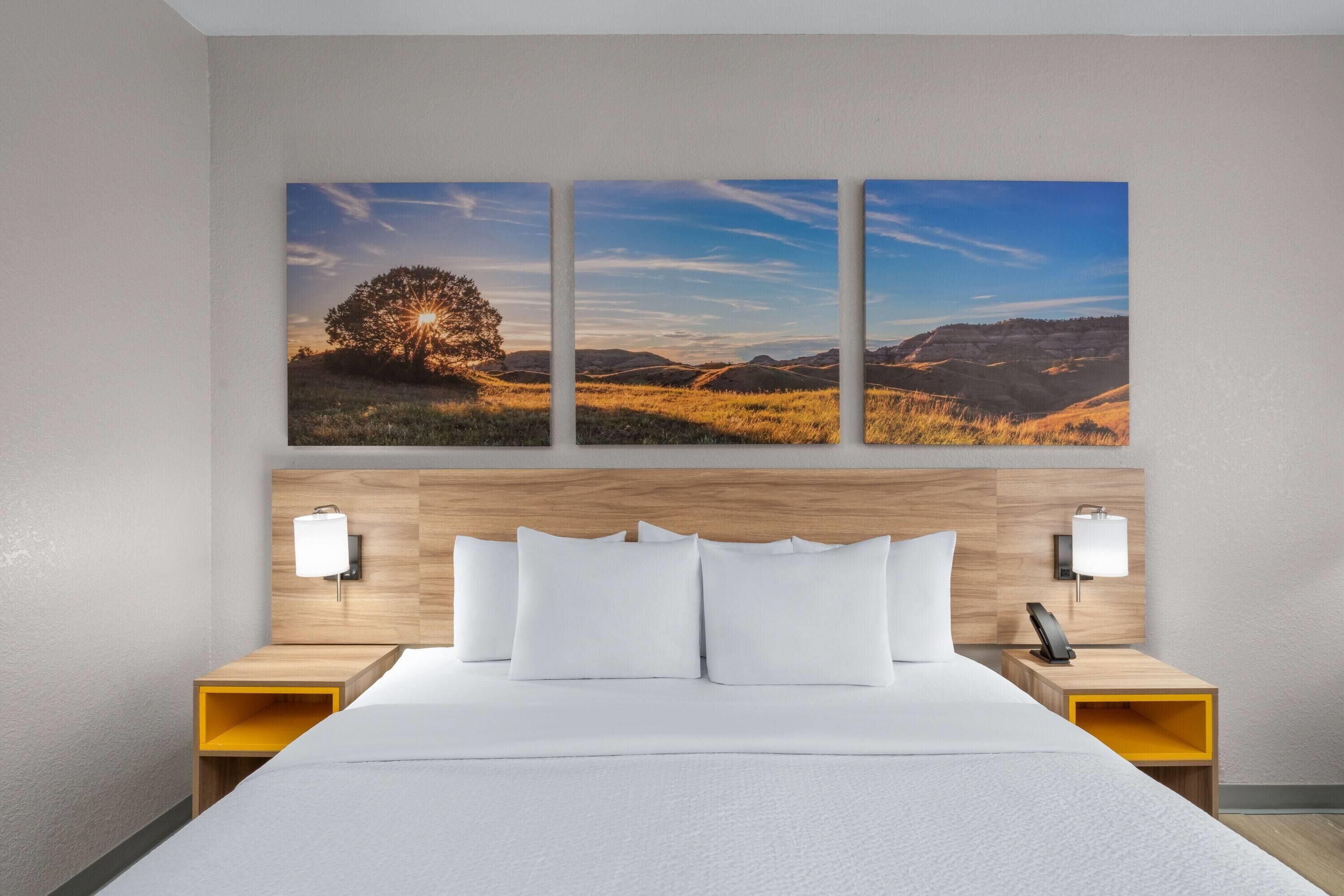 客房, 1 张特大床, 通行无障碍, 无烟房 (Roll-in Shower) | 特色家居、办公桌、熨斗/熨衣板、免费 WiFi