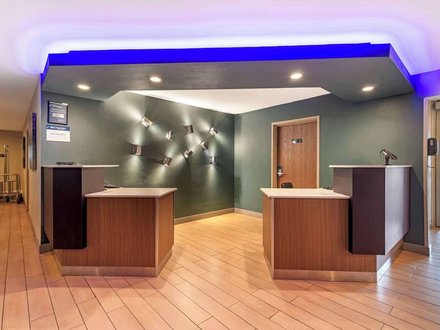 Una zona de recepción con dos mostradores de madera, una pared verde e iluminación azul en el techo.