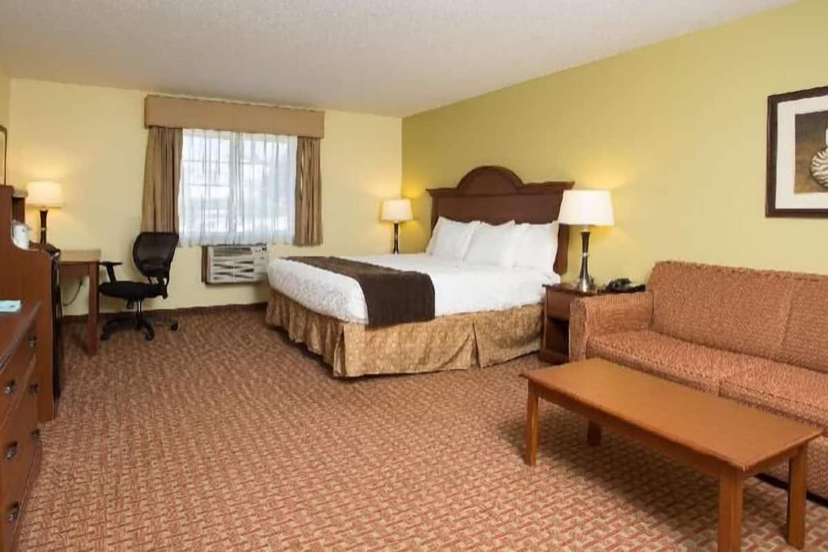 Premium bedding, individually decorated, individually furnished, desk