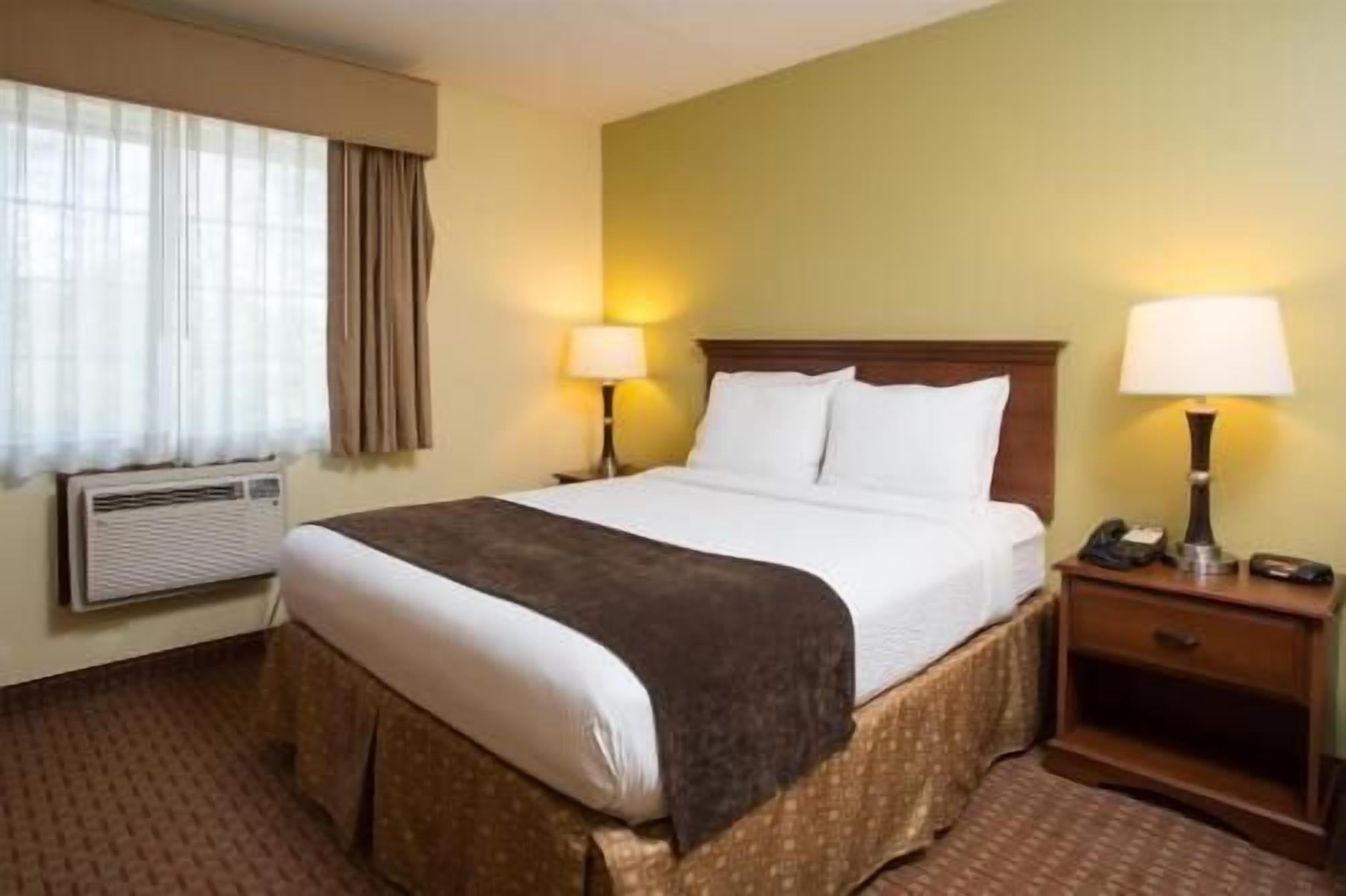 Premium bedding, individually decorated, individually furnished, desk