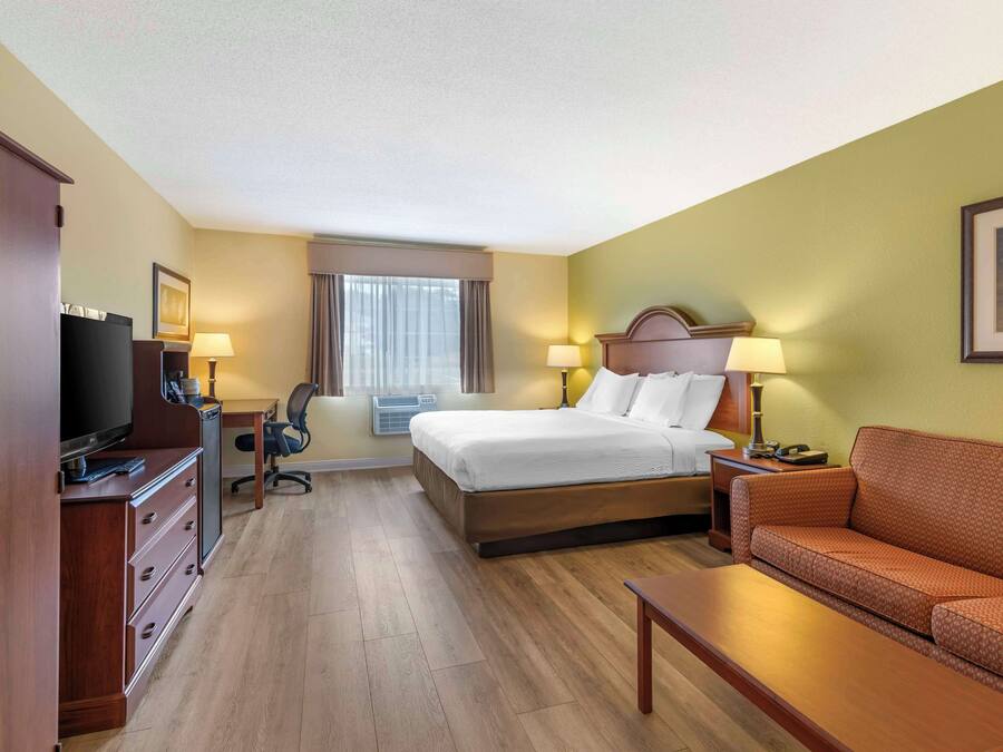 Habitación de hotel con cama, televisión, escritorio, silla, sofá y lámpara.