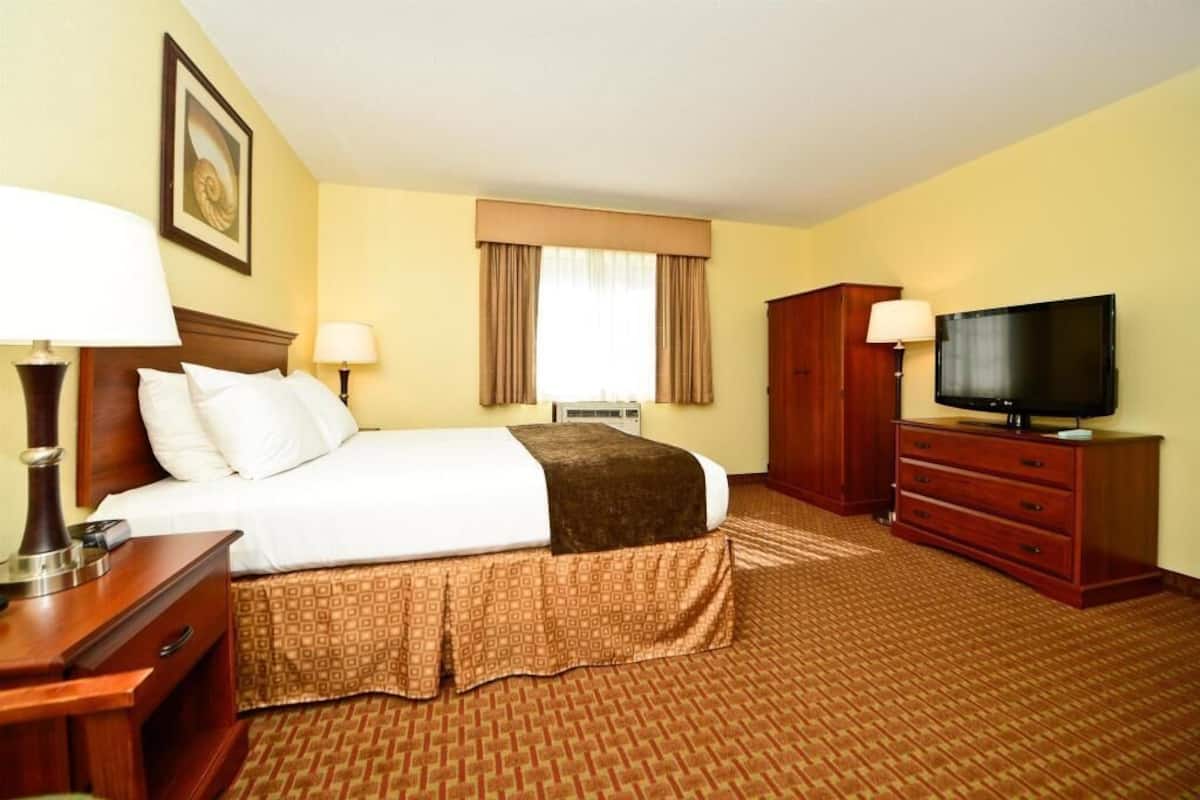 Premium bedding, individually decorated, individually furnished, desk