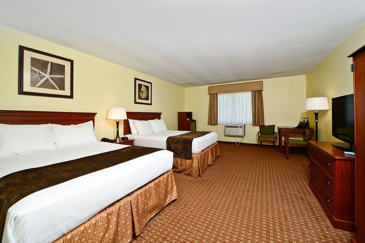Premium bedding, individually decorated, individually furnished, desk