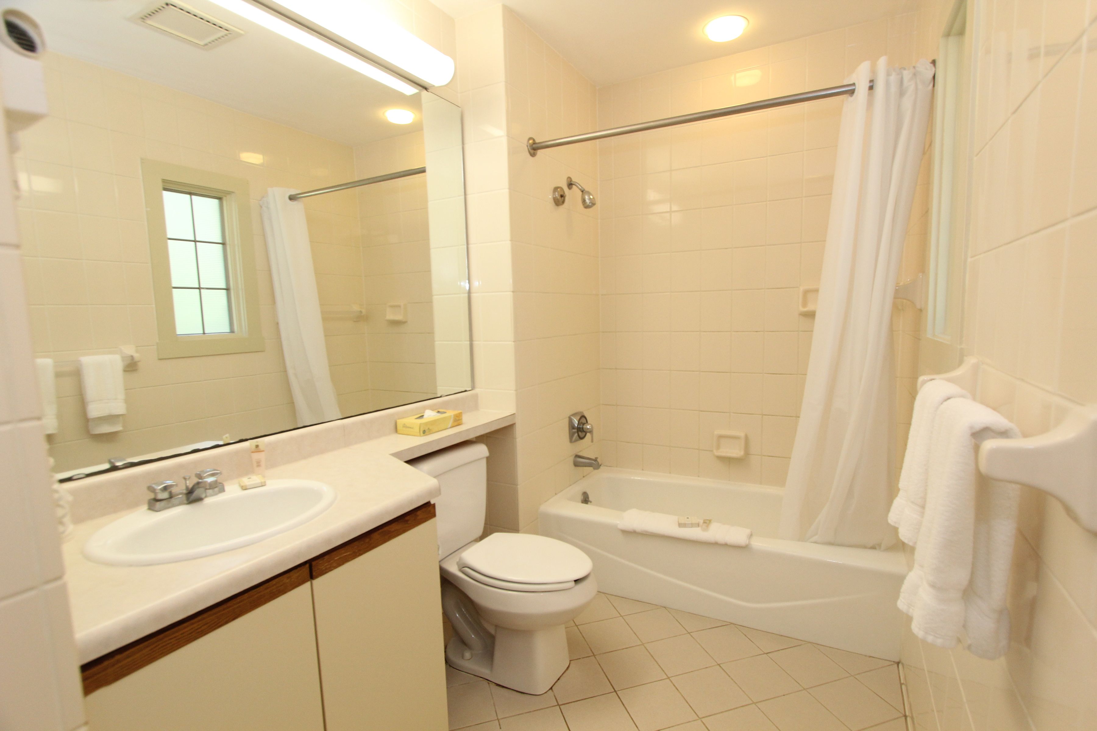 Une salle de bain avec un lavabo, des toilettes et une baignoire.