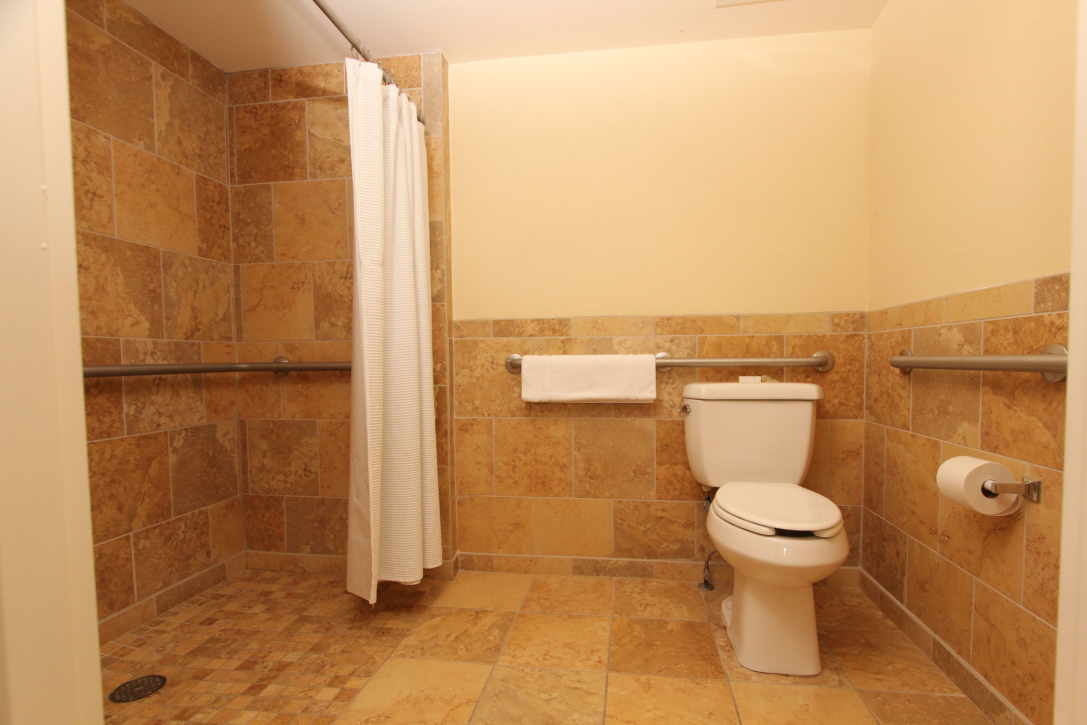 A bathroom with a shower, toilet, and grab bars.