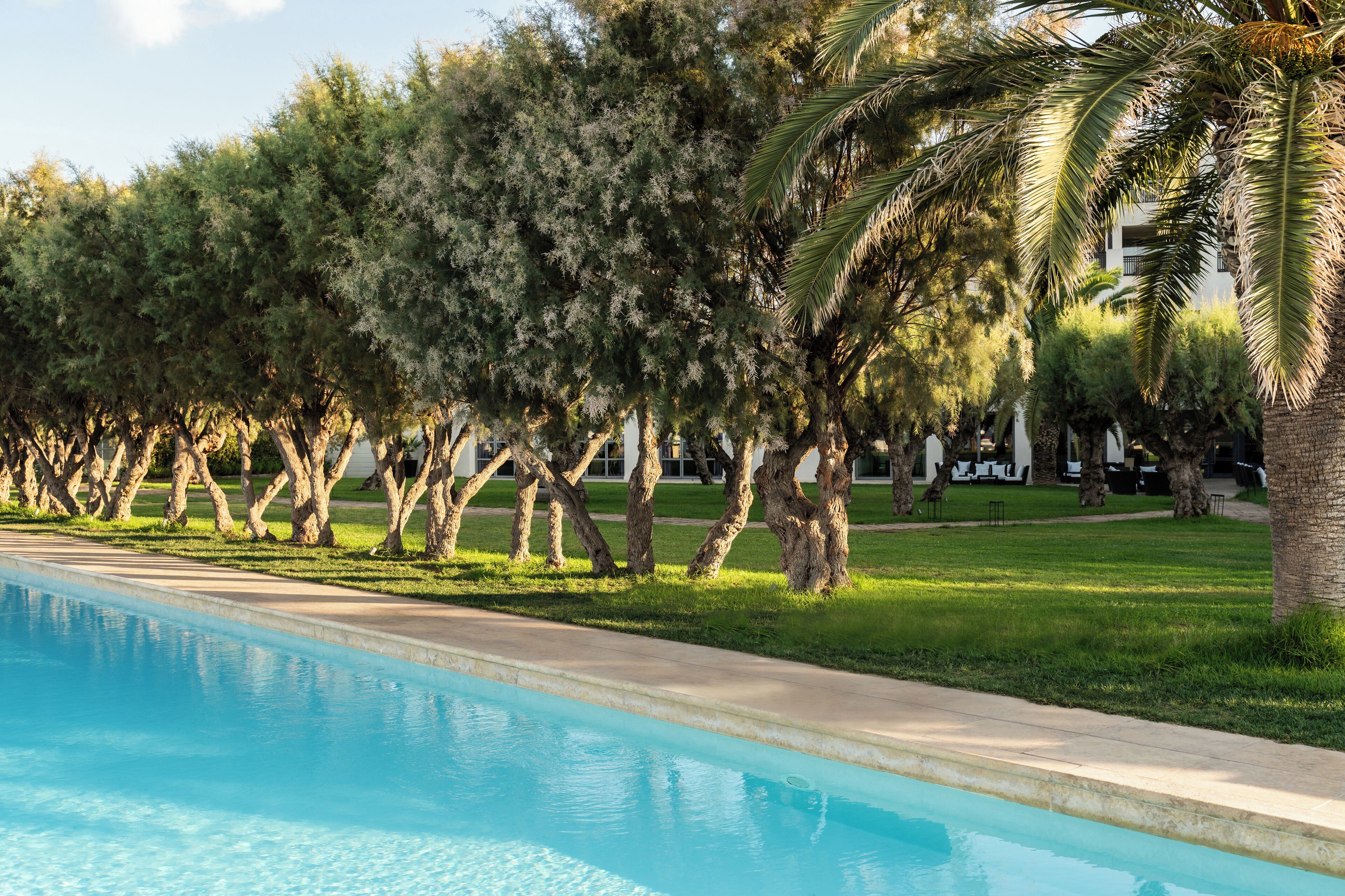 A swimming pool with a clear blue water surface, surrounded by a row of trees and a grassy area.