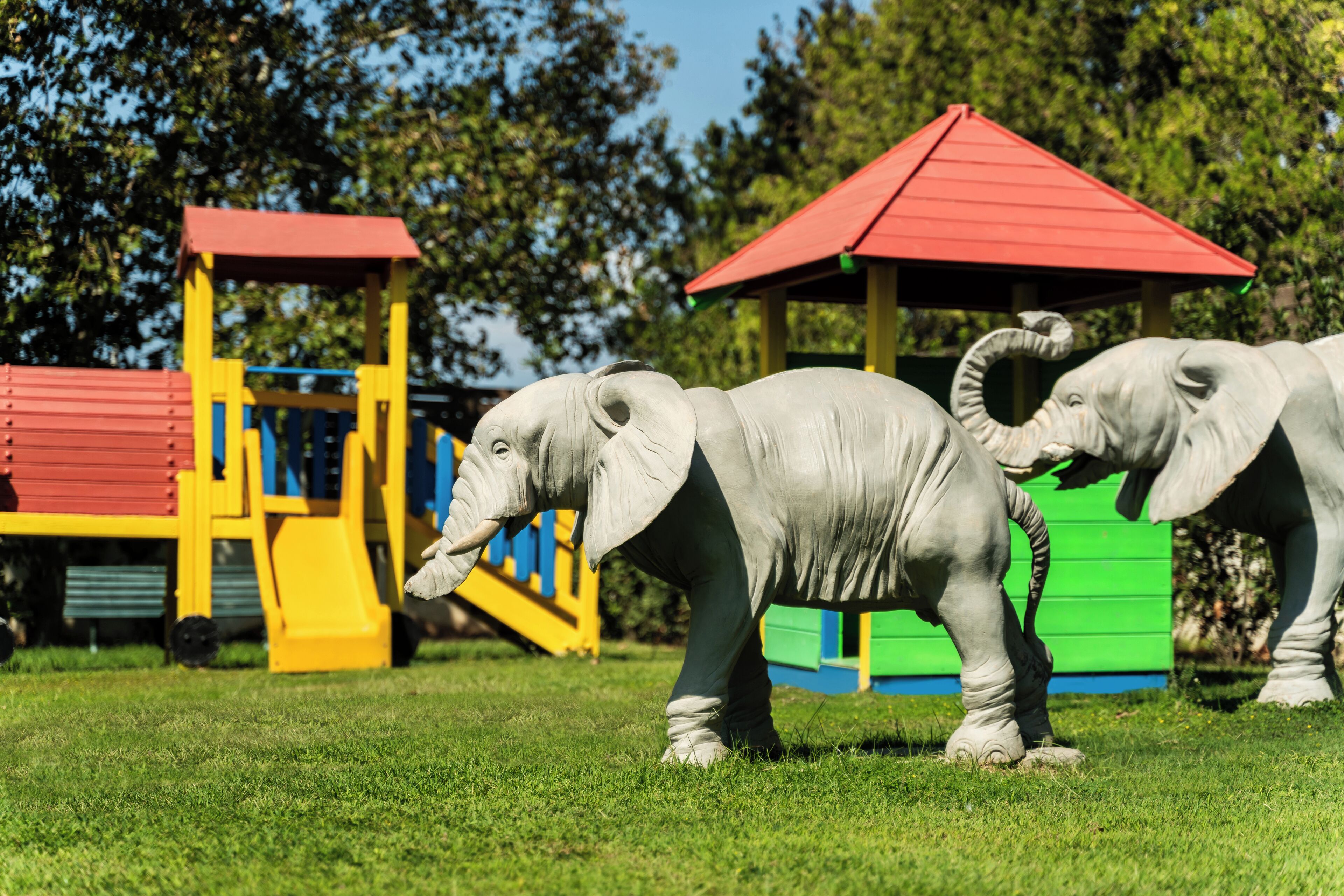 children’s activities