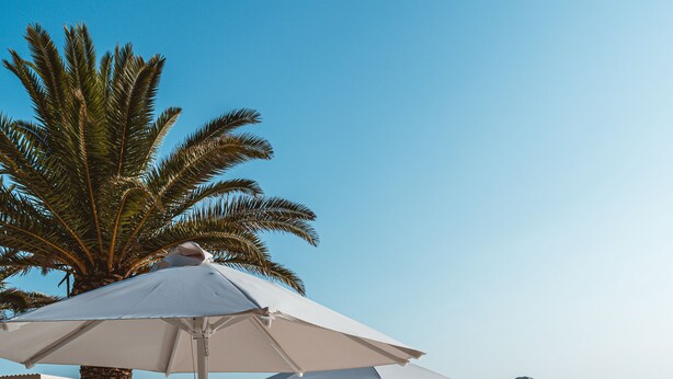 Un área de descanso frente a la playa con sillones blancos, mesas de madera, sombrillas que dan sombra y una palmera al fondo.