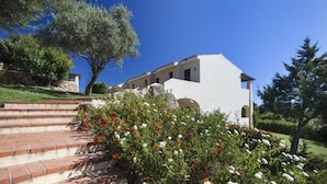A white building with multiple windows and a stone staircase leading up to it. - Stelle Marine (Arzachena)