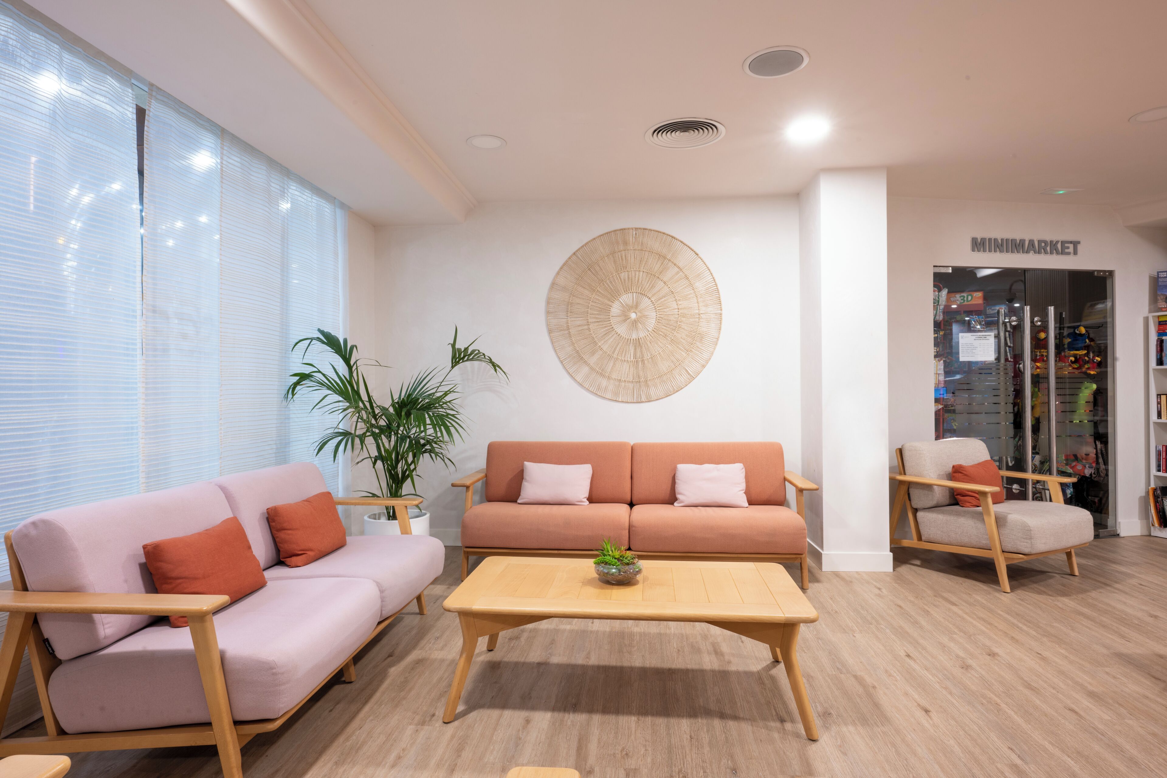 A modern living room with a sofa, a coffee table, and a chair. There is a plant on the coffee table.