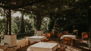 Un patio al aire libre con mesas y sillas de mimbre, rodeado de plantas en macetas y árboles.