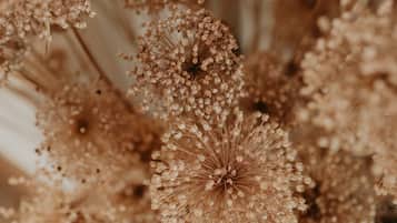 A close-up of dried flowers, likely used for decoration.