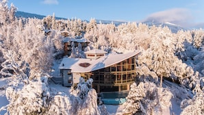Un edificio moderno circondato da alberi imbiancati dalla neve.