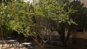 حديقة