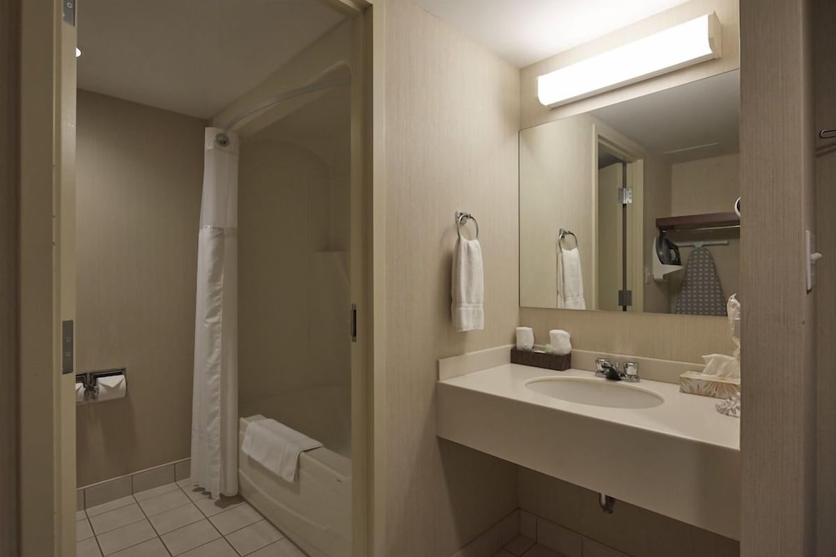 Baño de hotel con ducha, lavamanos, espejo y toallero.
