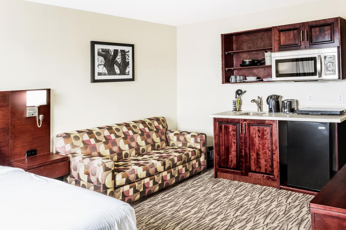 superior room, kitchenette | soundproofing, iron/ironing board, free wifi