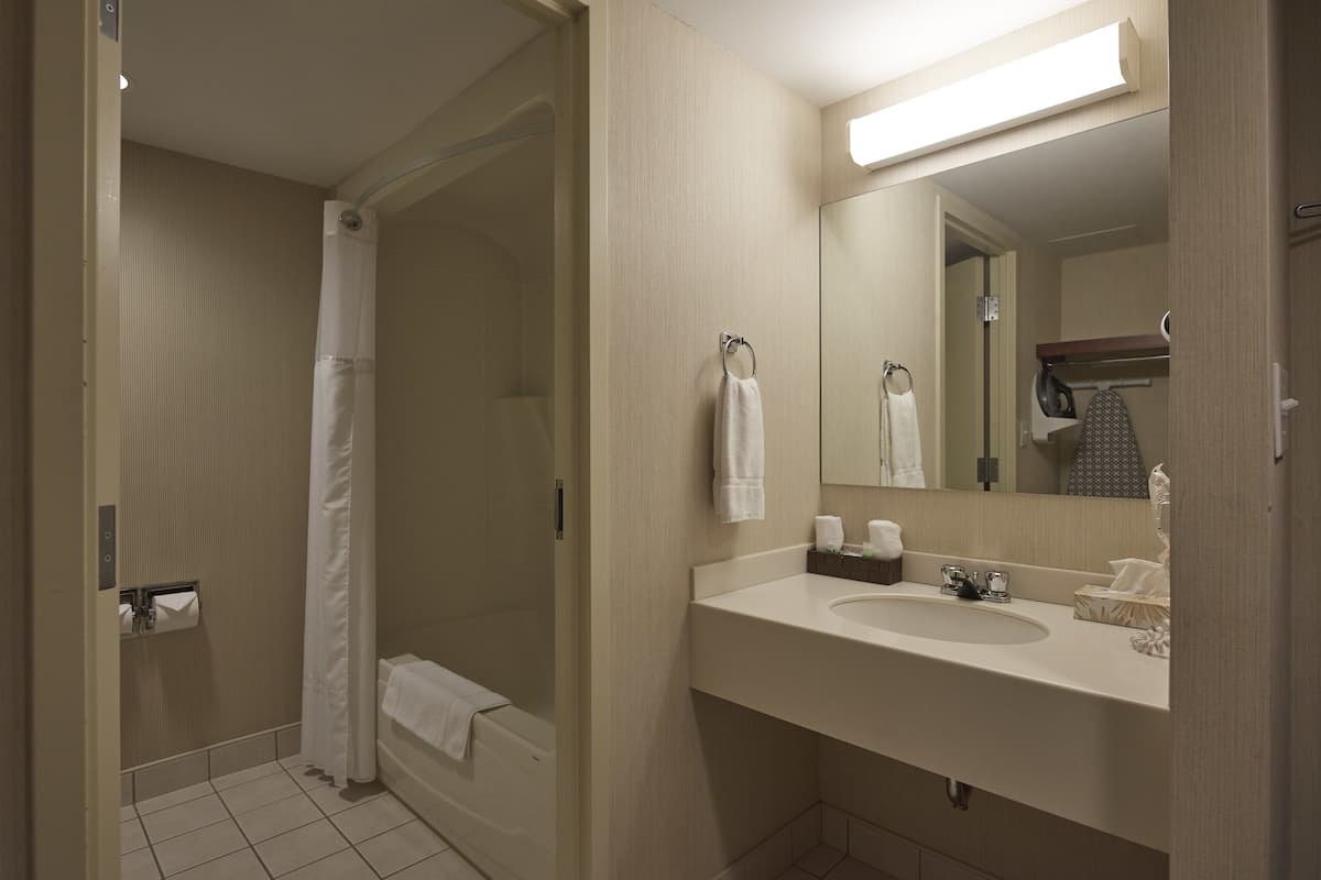 free toiletries, hair dryer, towels