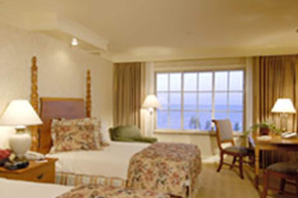 city room, 2 double beds | in-room safe, desk, iron/ironing board, free cots/infant beds