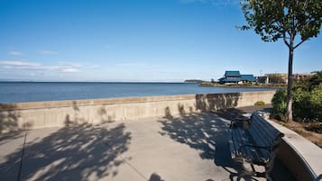 Vista desde la propiedad