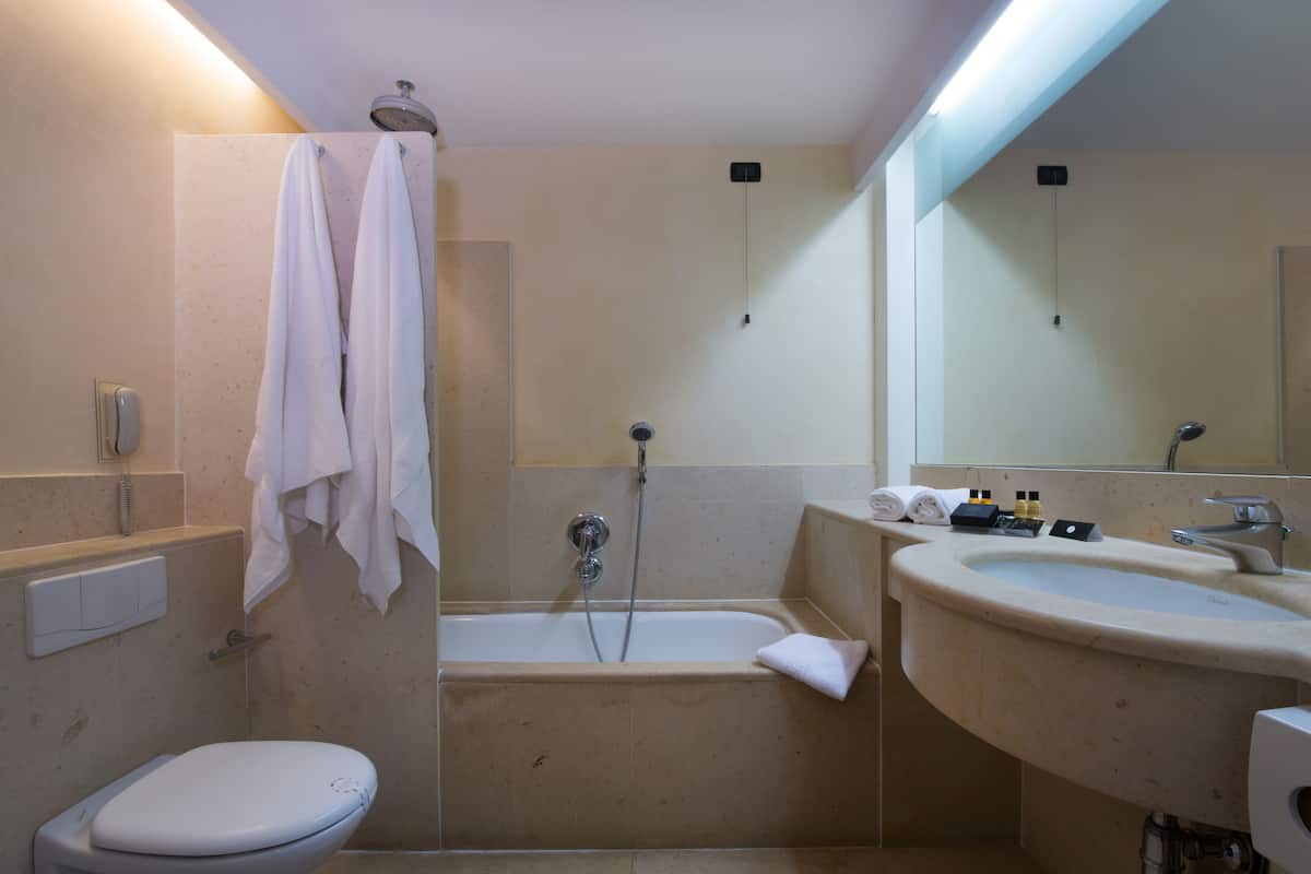 shower, free toiletries, hair dryer, bidet