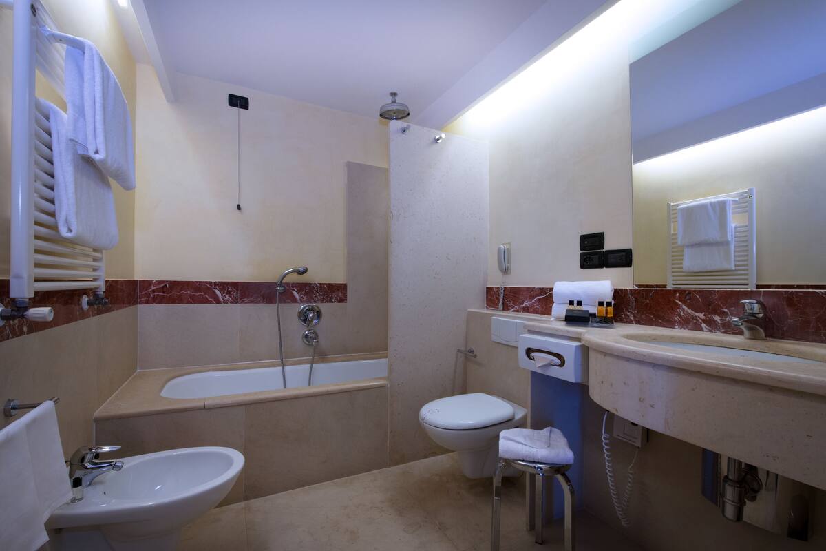 shower, free toiletries, hair dryer, bidet