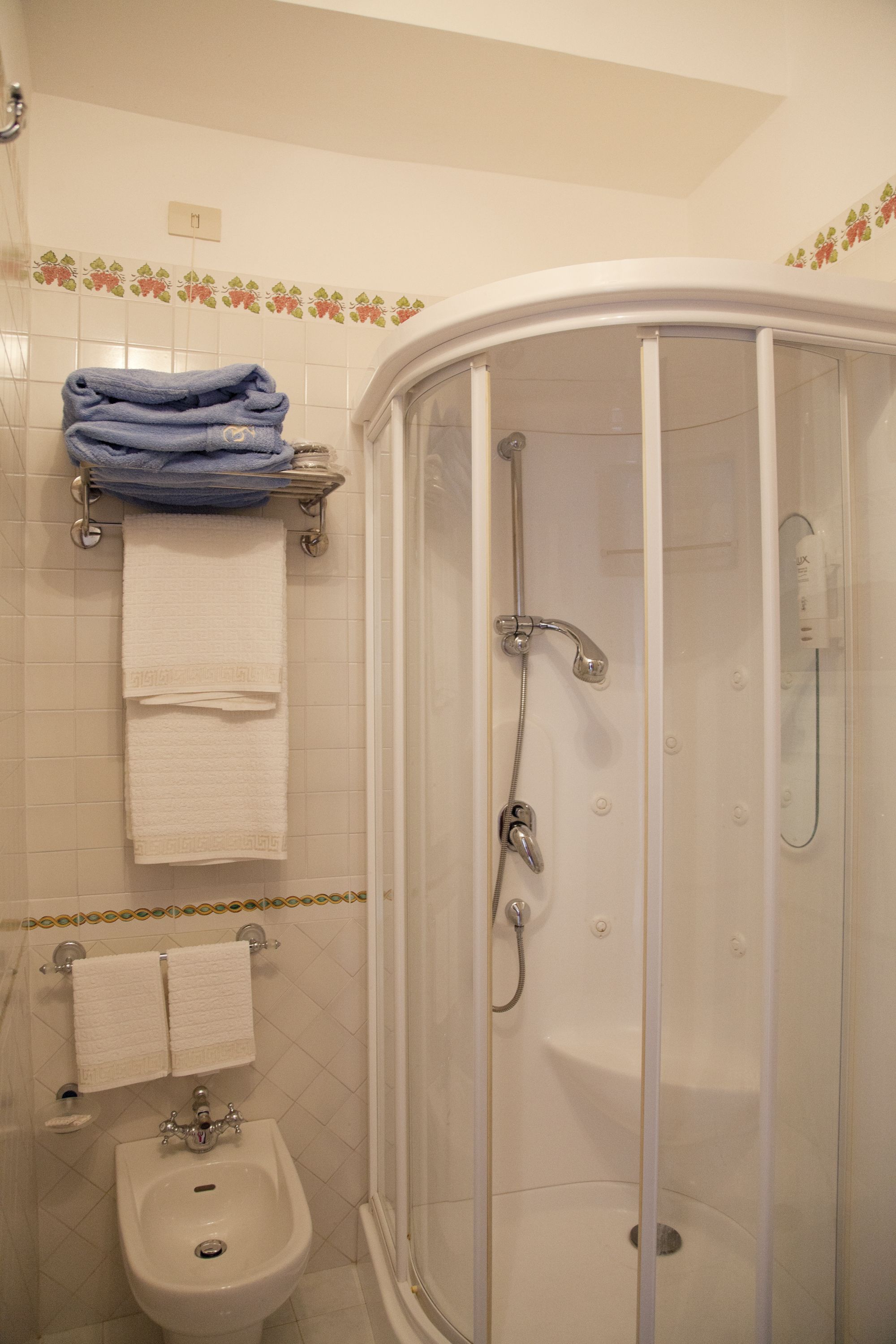 A bathroom with a shower, bidet, and two towels on a rack.
