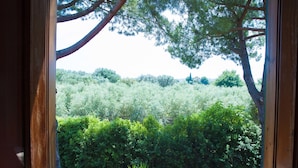 View from room - Villa Maria Luigia (Frascati)