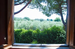 Vista desde la habitación