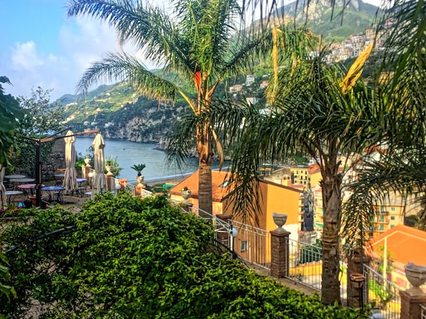 Garden - Hotel Vietri Coast (Vietri sul Mare)