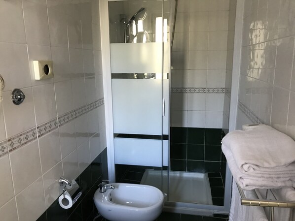 A bathroom with a sink, bidet, and shower.
