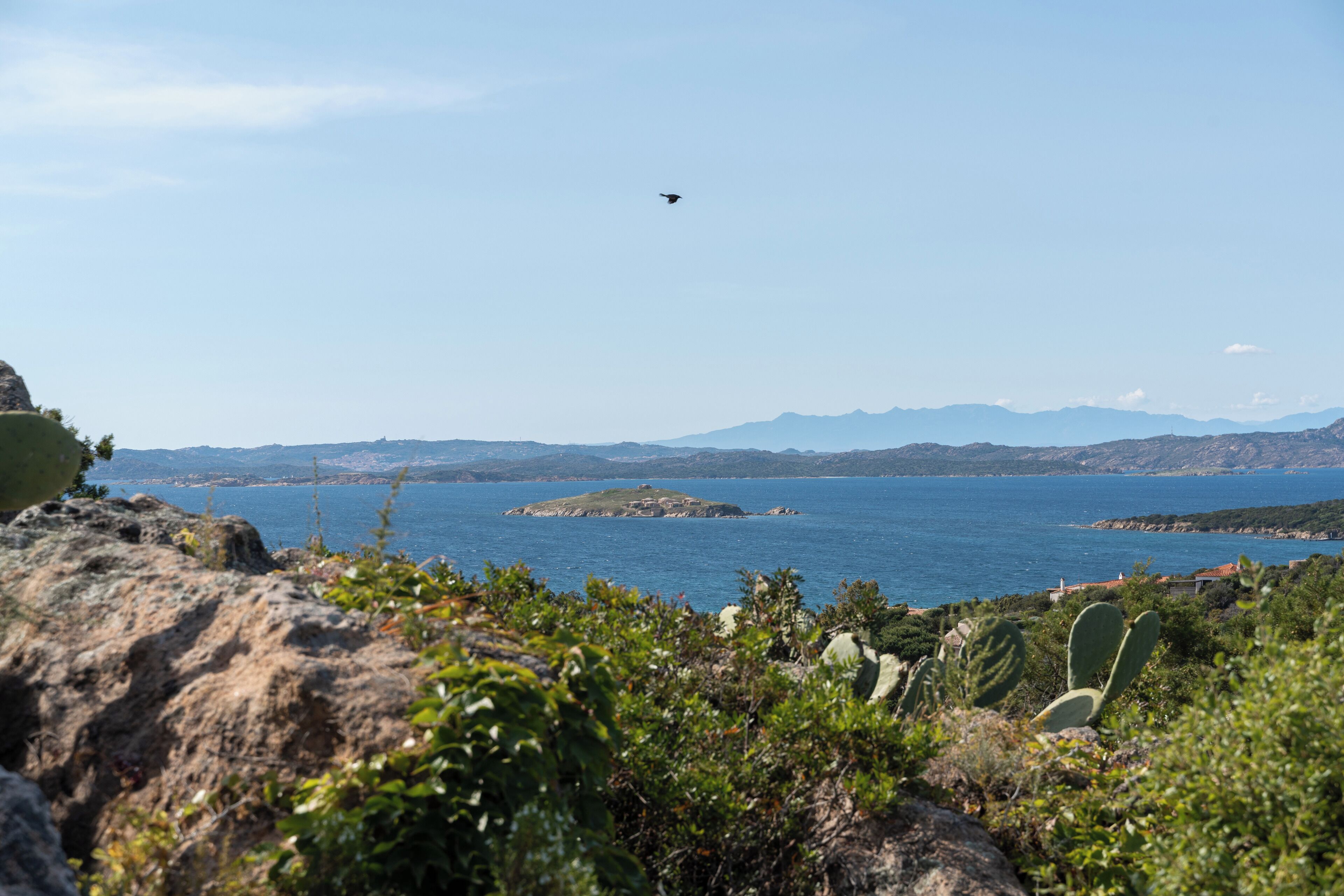 A coastal landscape with rocky terrain and sparse vegetation, including a cactus.