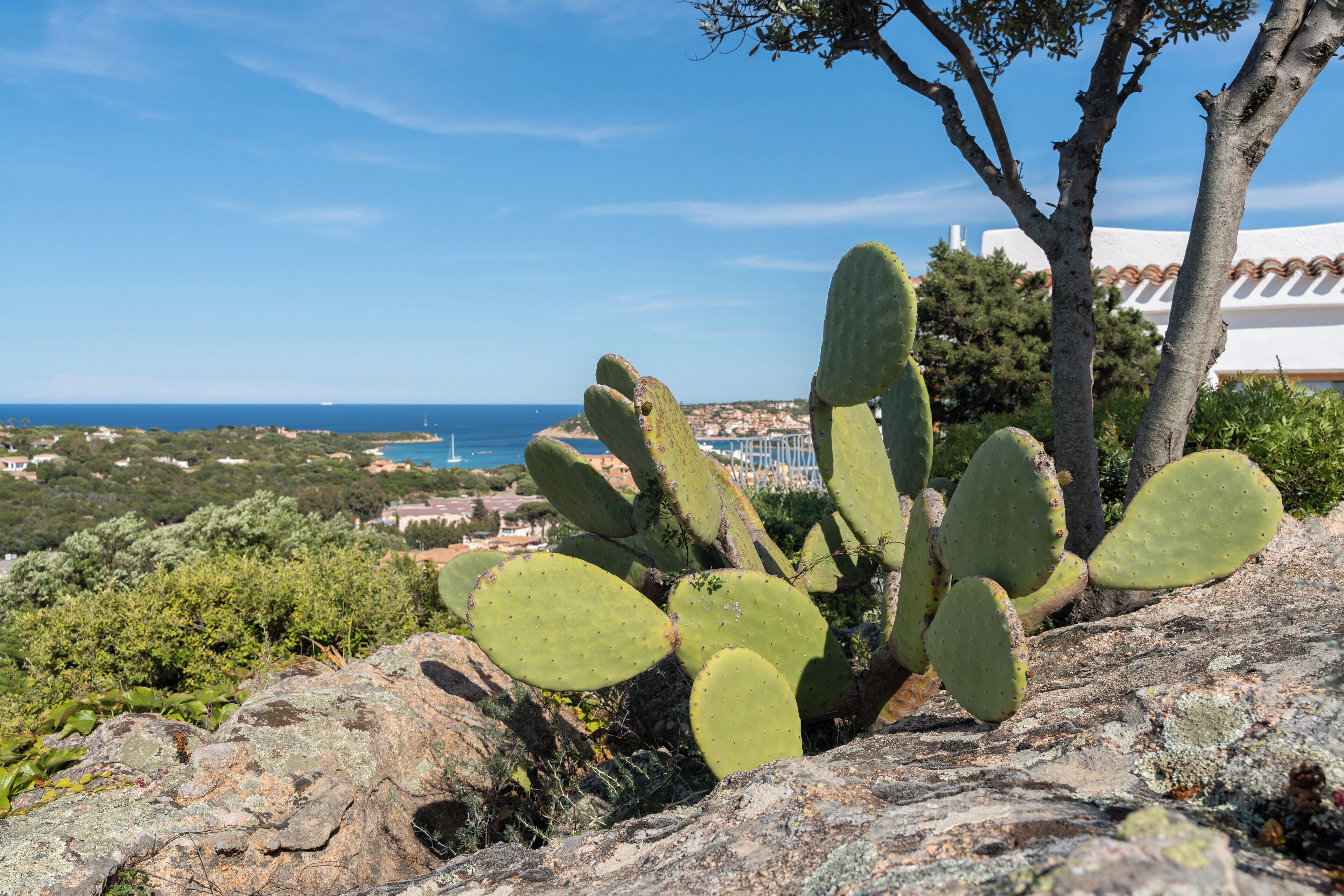 Suite, idromassaggio | Biancheria da letto di alta qualità, copriletto in piuma