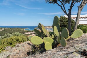 Premium bedding, down comforters, pillowtop beds, minibar - Hotel Balocco (Arzachena)