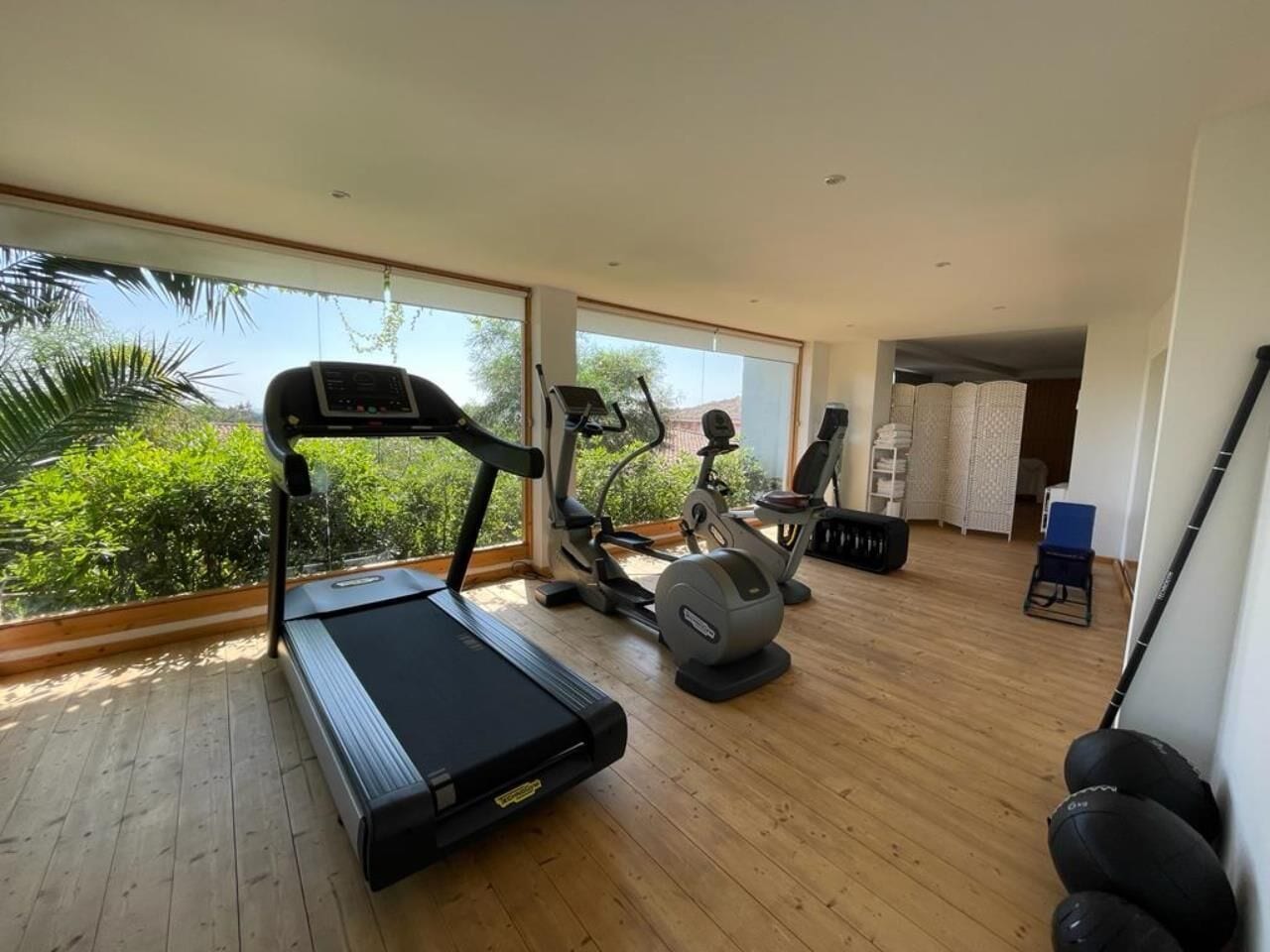 A spacious room with a treadmill, elliptical, and stationary bike, large windows with a view of greenery, and a wooden floor.