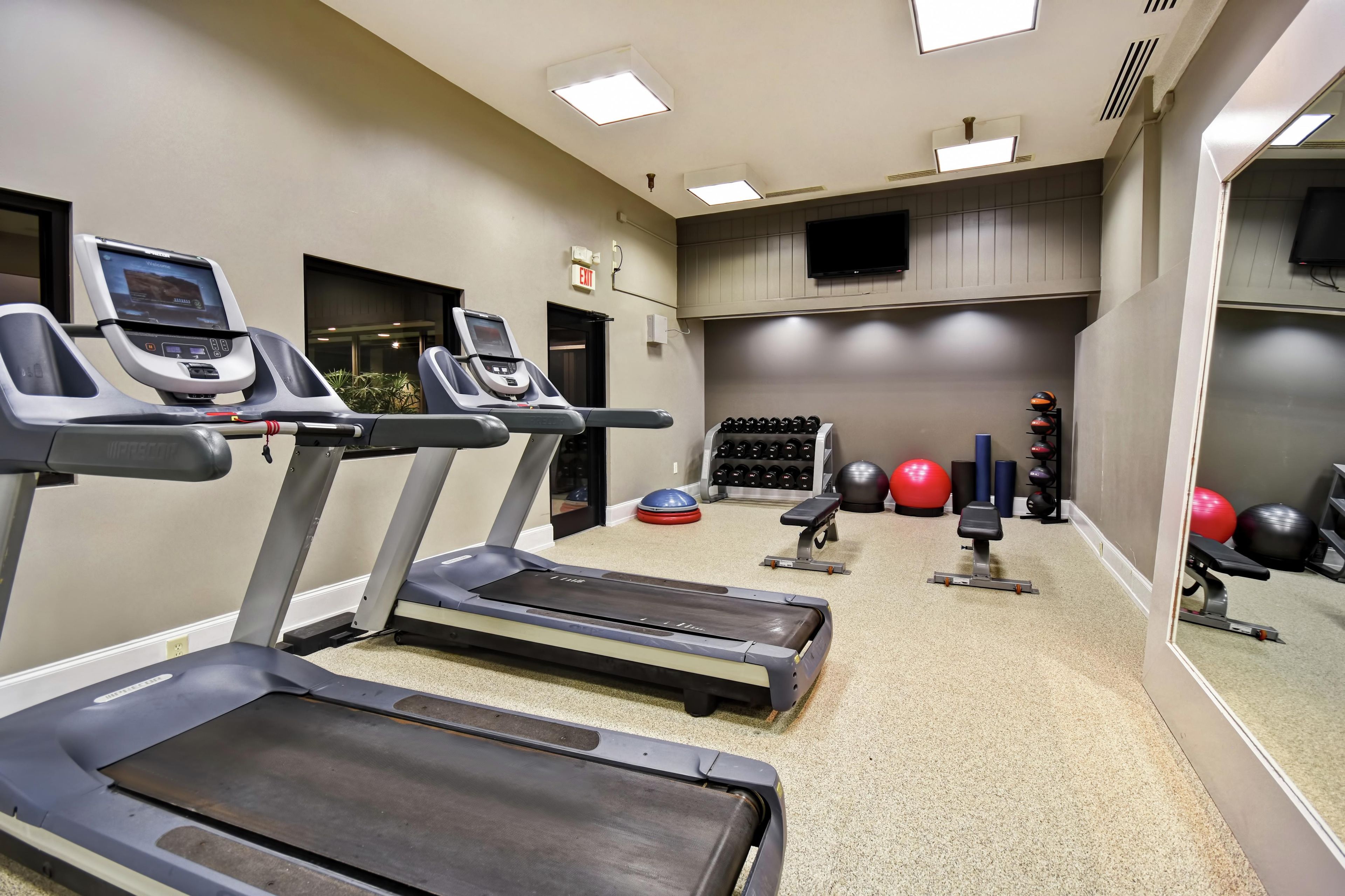 A gym with treadmills, weights, and exercise balls.