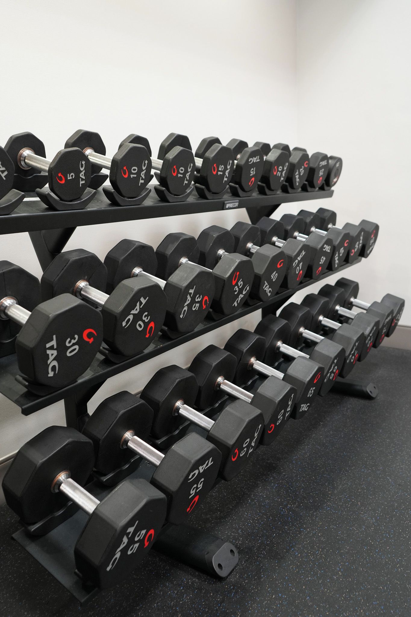 A rack of dumbbells with weights ranging from 5 to 55 pounds.