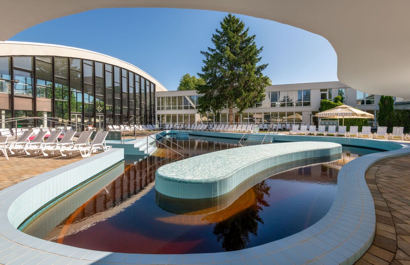 Una piscina con sillas de descanso, un edificio moderno con grandes ventanales y un árbol al fondo.