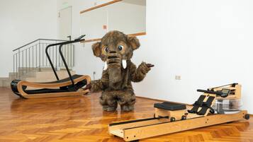 Una habitación con piso de madera, una caminadora, una bicicleta estática y un espejo grande en la pared.