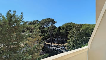Vista dalla camera