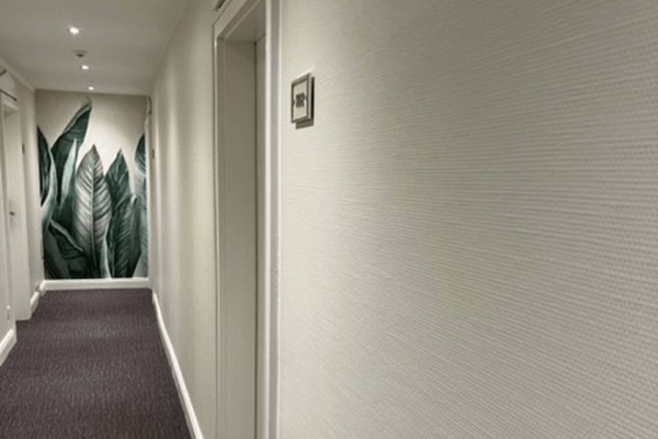 Televisión de pantalla plana