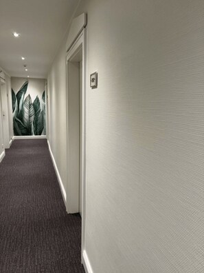Flat-screen TV