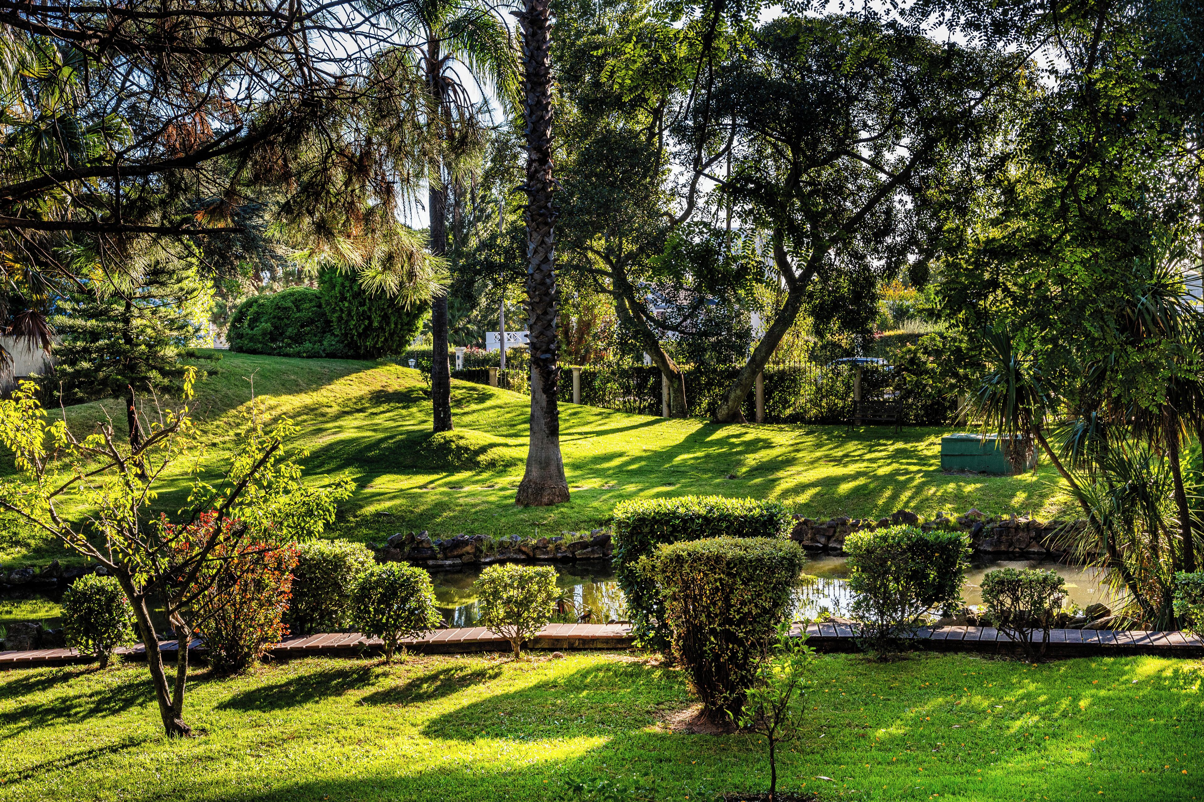 Un jardín bien cuidado con un estanque, césped impecable y diversos árboles.