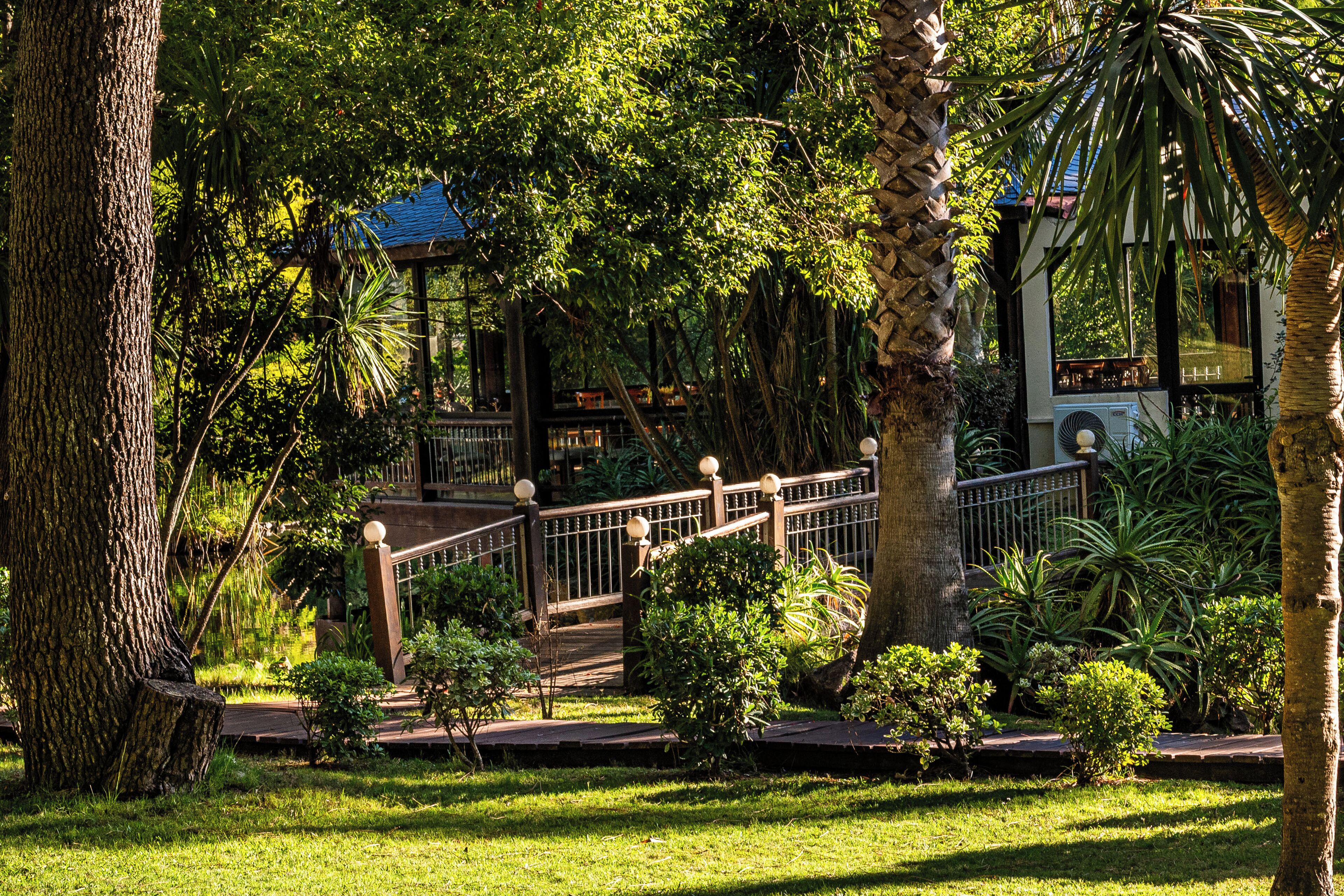 A garden with a wooden bridge, palm trees, and a gazebo.