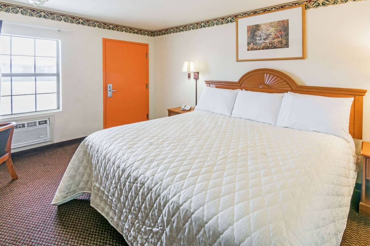 Ein Hotelzimmer mit einem großen Bett, einem Nachttisch mit Lampe, einer orangefarbenen Tür, einem Fenster und einem gerahmten Bild an der Wand.