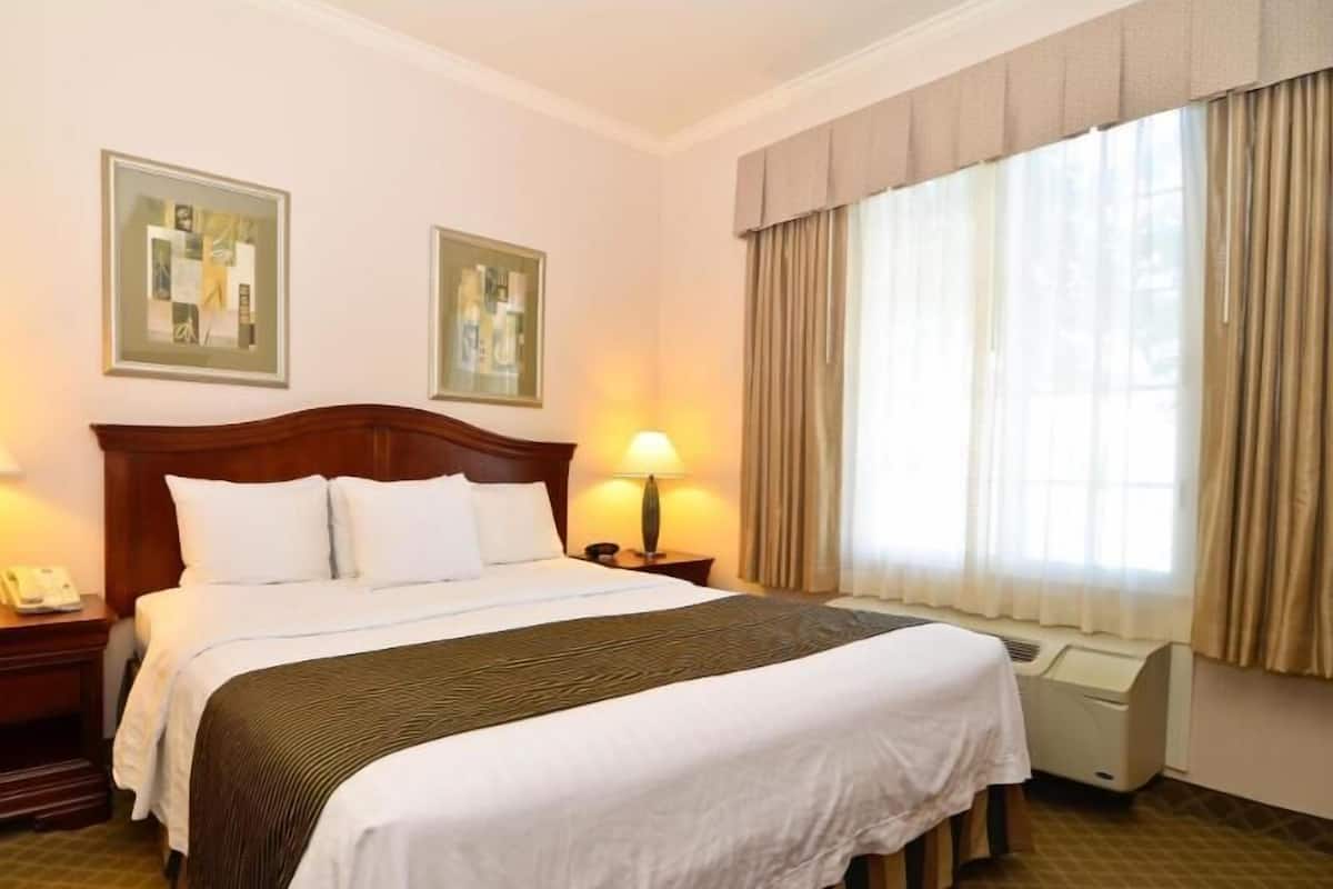 Minibar, in-room safe, iron/ironing board, free cribs/infant beds